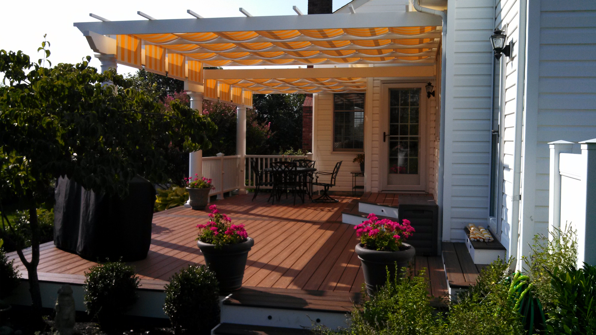 Backyard 